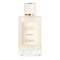 Chloe Cedrus